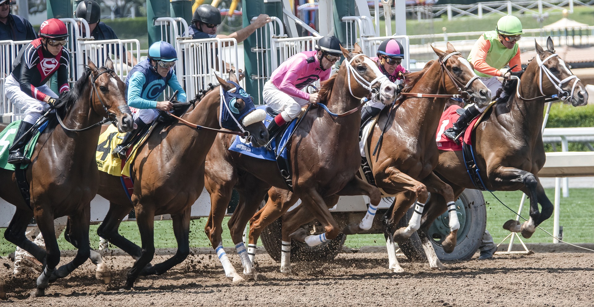 3wehorse online betting sites trusted in Malaysia